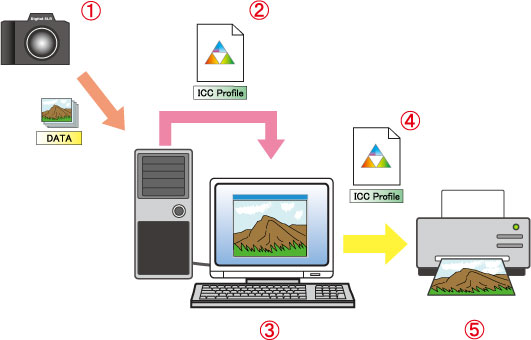 Are colors displayed on the monitor and printed colors different?