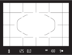 canon 7d viewfinder display