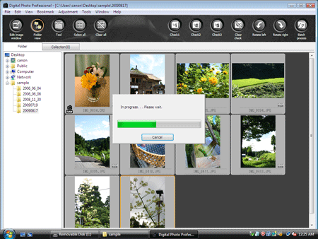 canon digital professional selecting multiple files