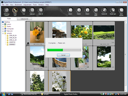 canon digital professional saving all files as jpg