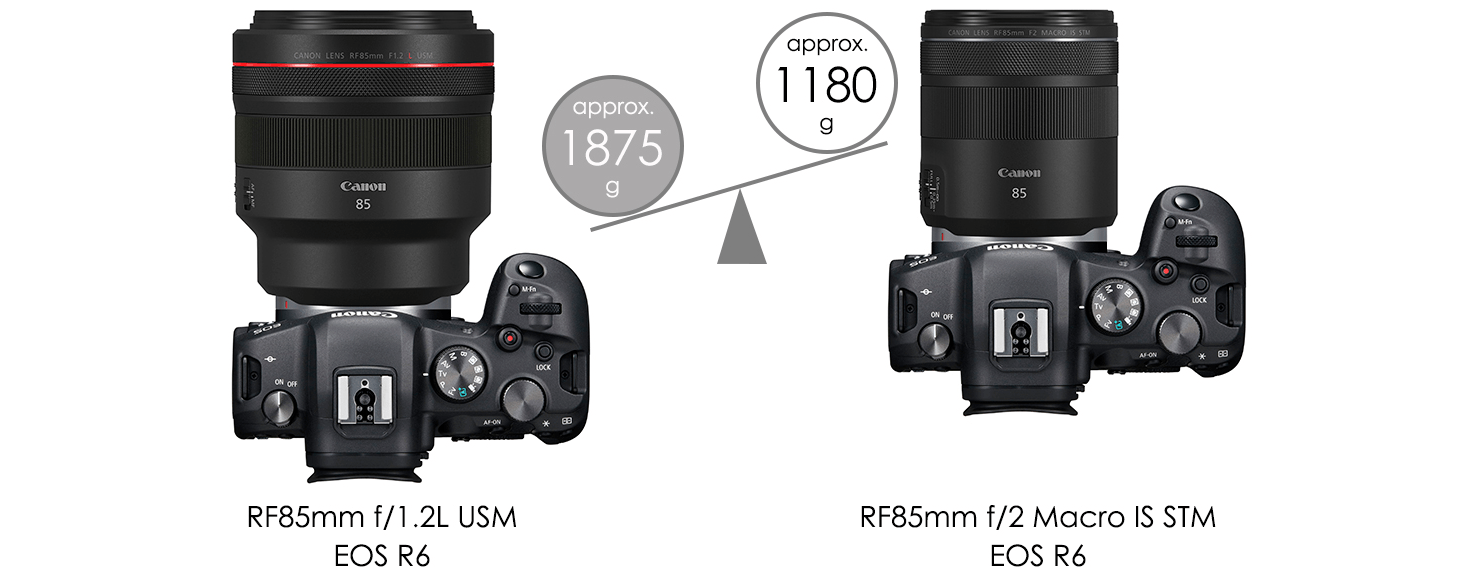 RF Lenses - RF85mm f/2 Macro IS STM - Canon South