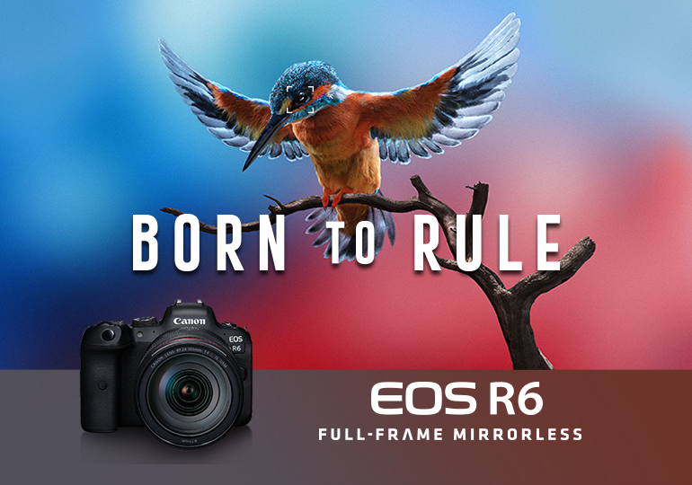 Canon EOS R6 Mirrorless Camera Body {20MP} at KEH Camera