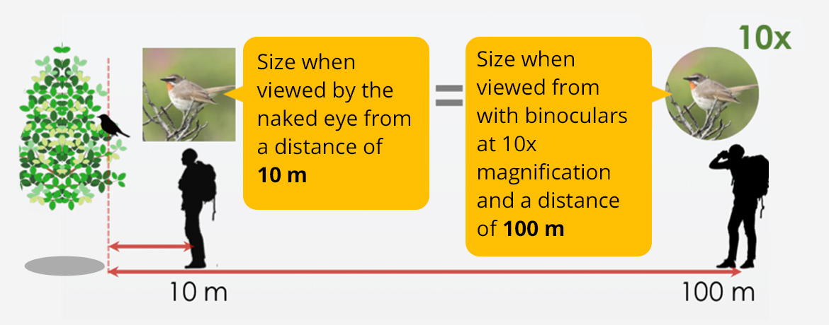 magnification comparison_1170x460 v2