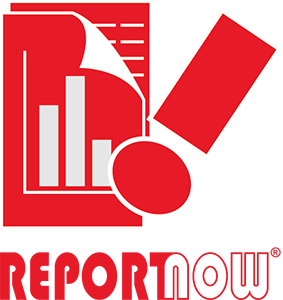 reportNow logo