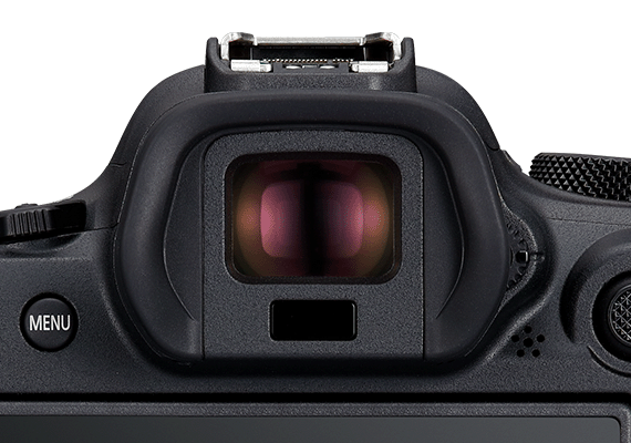 EOS R6 Mark II, a 6ameChanger for Videos and Stills With 6K RAW