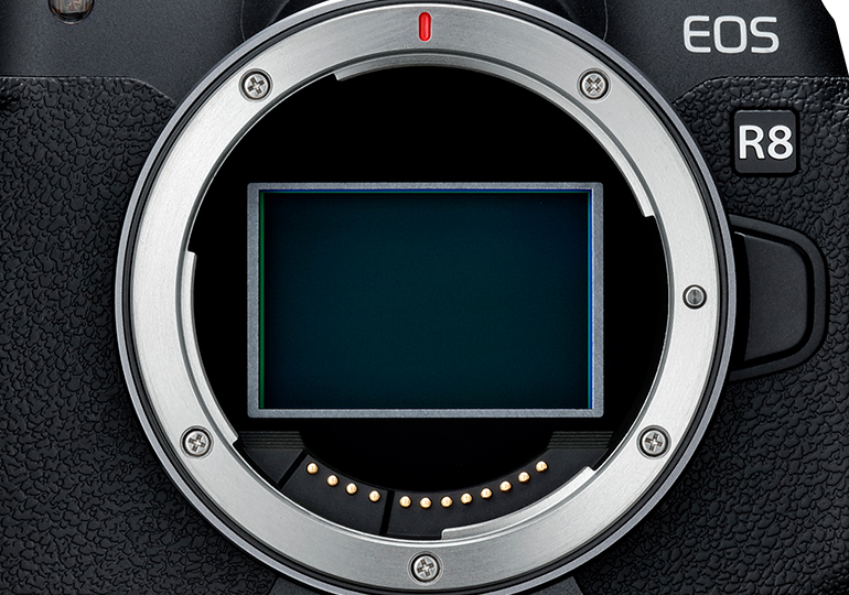 Interchangeable Lens Cameras - EOS R8 (Body) - Canon South & Southeast Asia