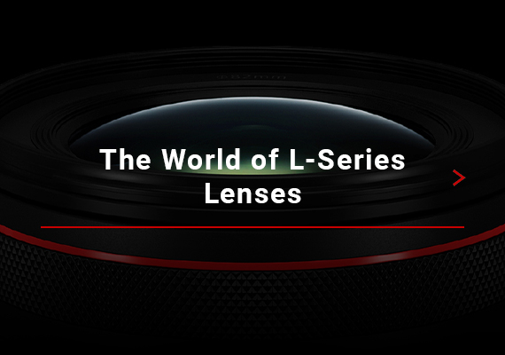 The world of L-series_570