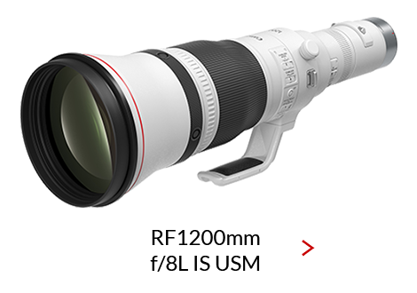 RF1200mm-F8-L-IS-USM_470x330_rev3