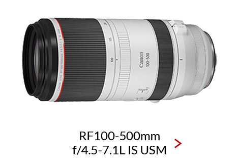 RF100-500mm-F4.5-7.1-L-IS-USM_470x330_rev3