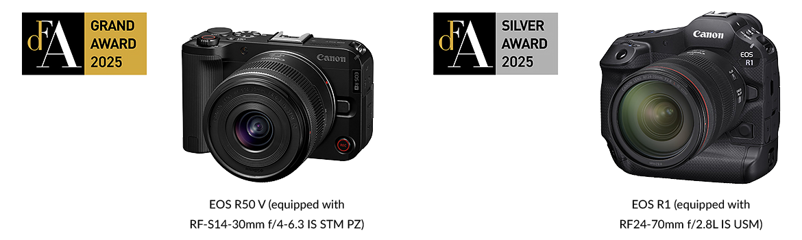 DFA Design Asia Awards 2025