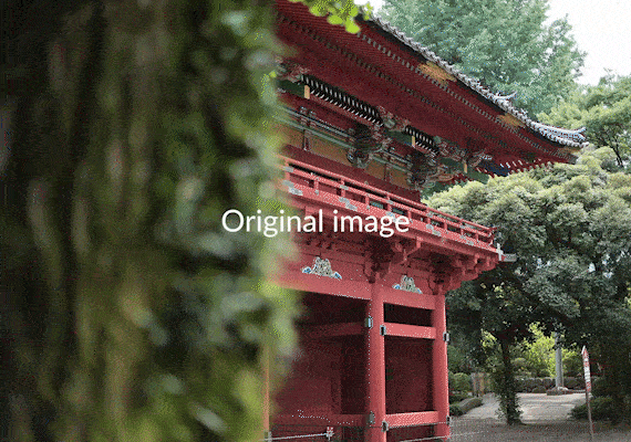 Canon EOS R8 Mark II