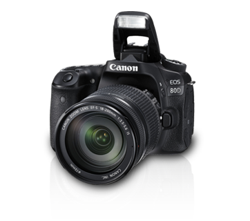 EOS80D_kitiii_b2.png