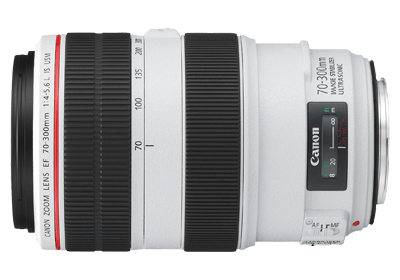 Canon 望遠ズームレンズ　EF70-300mm F4-5.6L IS USMカビ等はありません